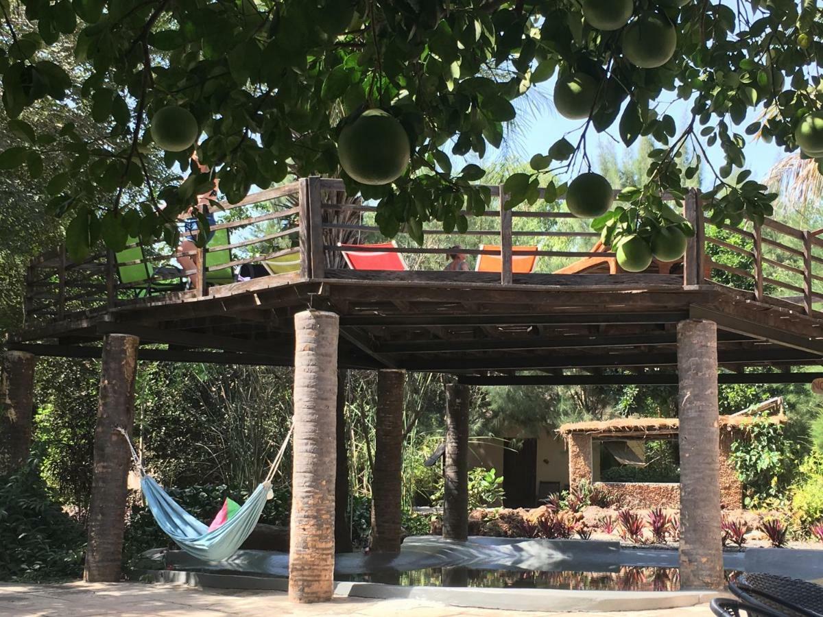 Footsteps Eco-Lodge Gunjur Ngoại thất bức ảnh