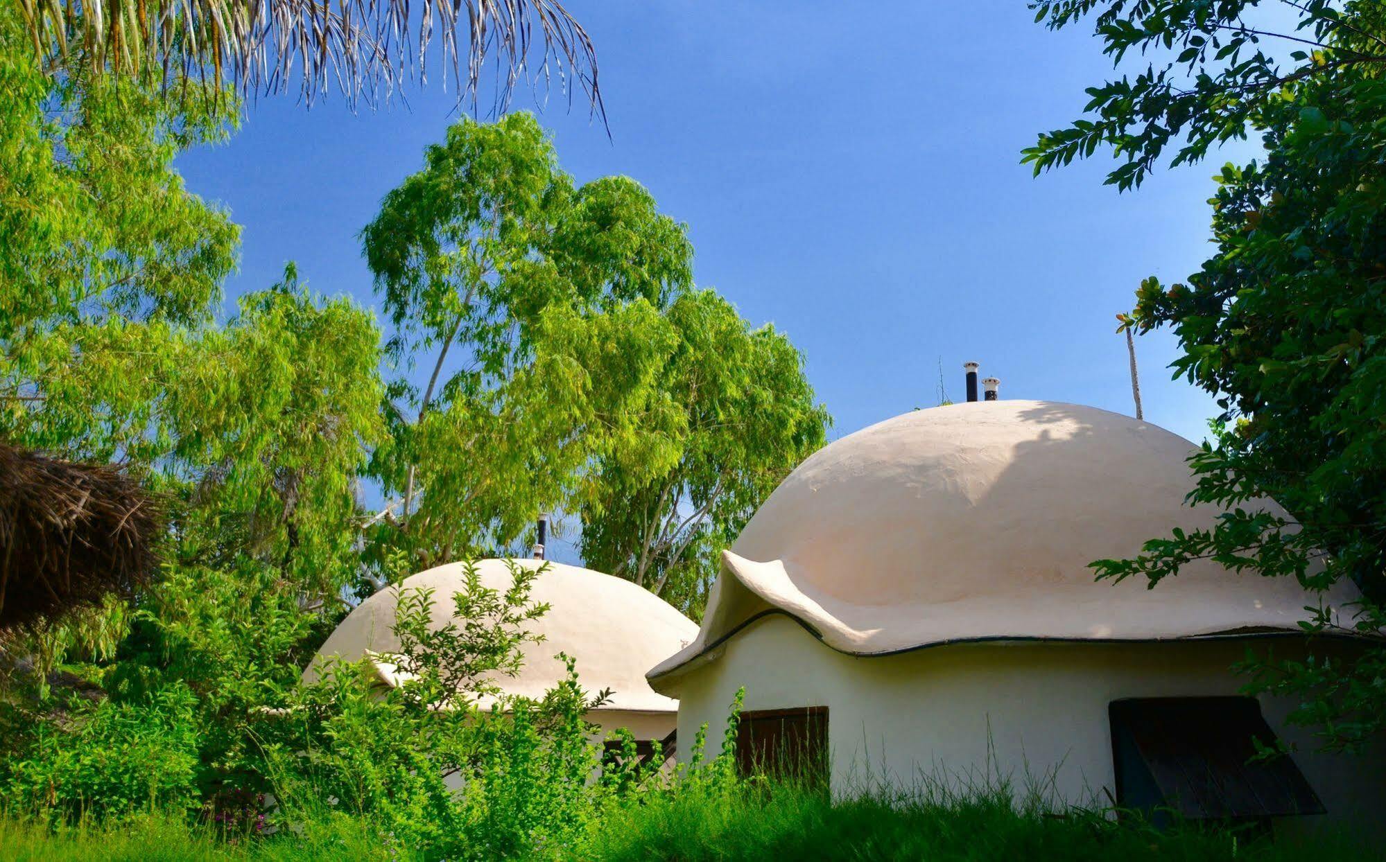 Footsteps Eco-Lodge Gunjur Ngoại thất bức ảnh